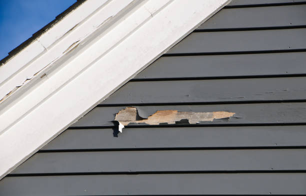 Best Custom Trim and Detailing for Siding  in Murray, UT